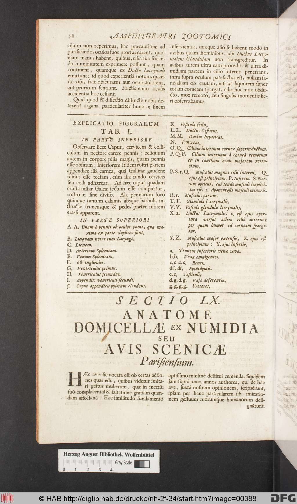 http://diglib.hab.de/drucke/nh-2f-34/00388.jpg