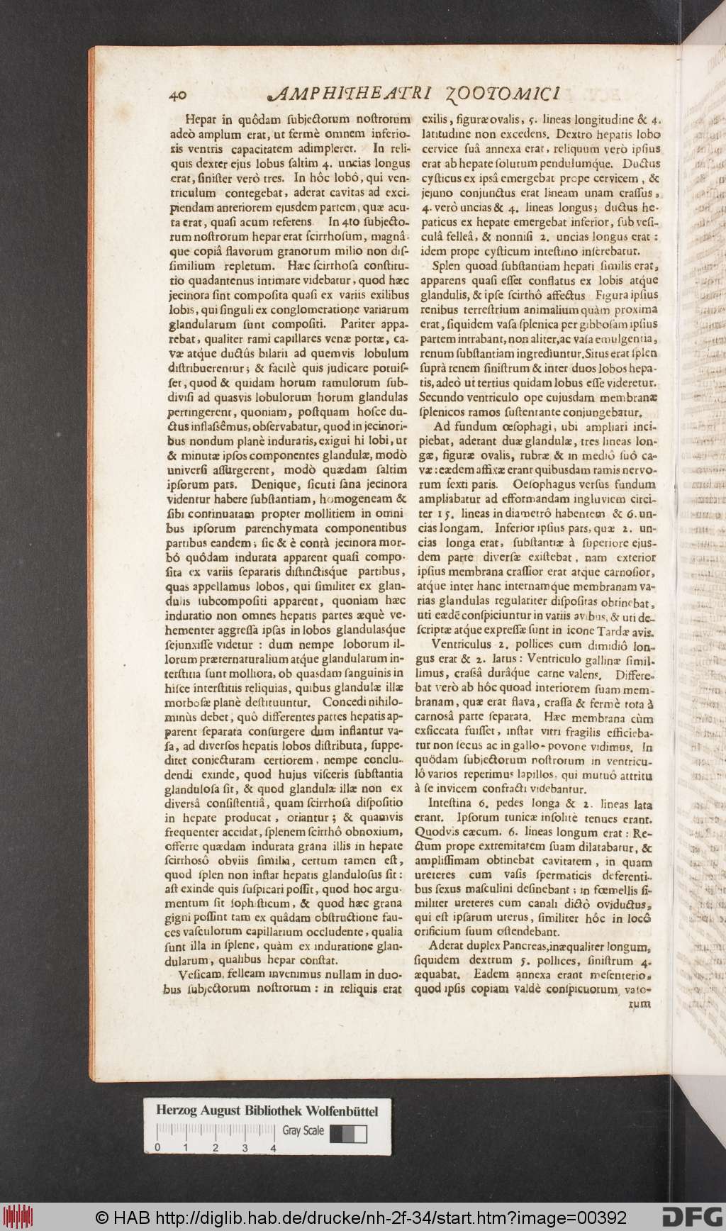 http://diglib.hab.de/drucke/nh-2f-34/00392.jpg
