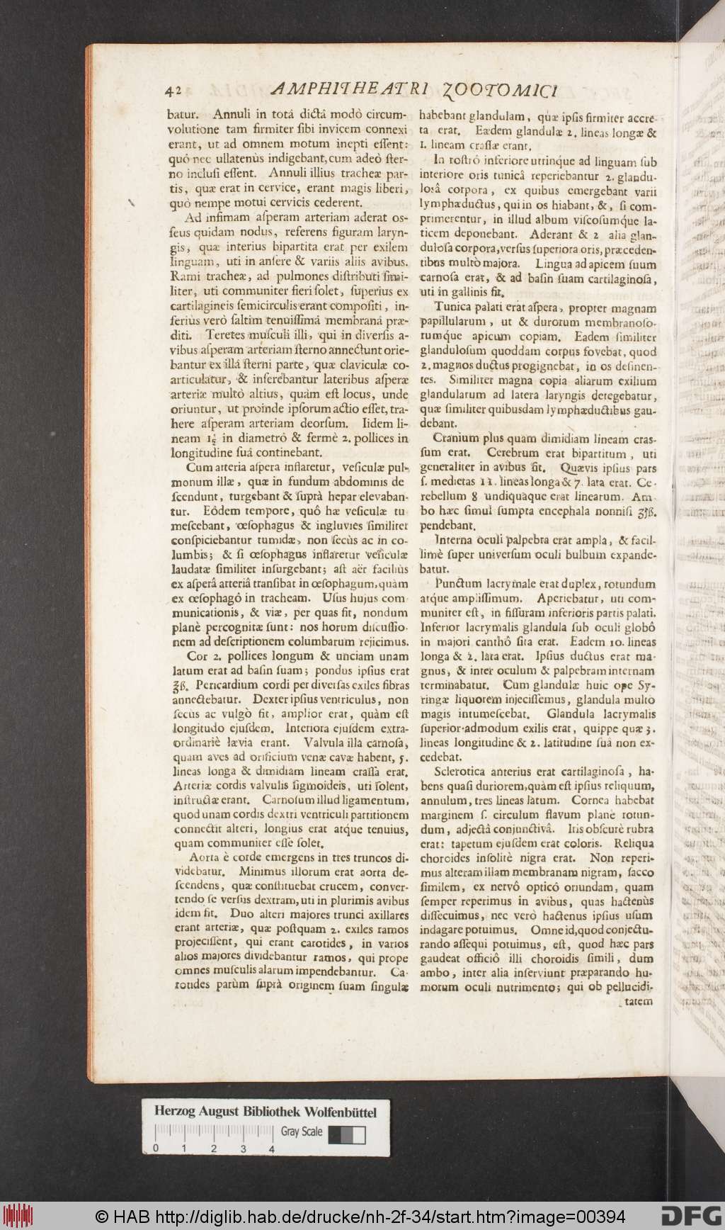 http://diglib.hab.de/drucke/nh-2f-34/00394.jpg