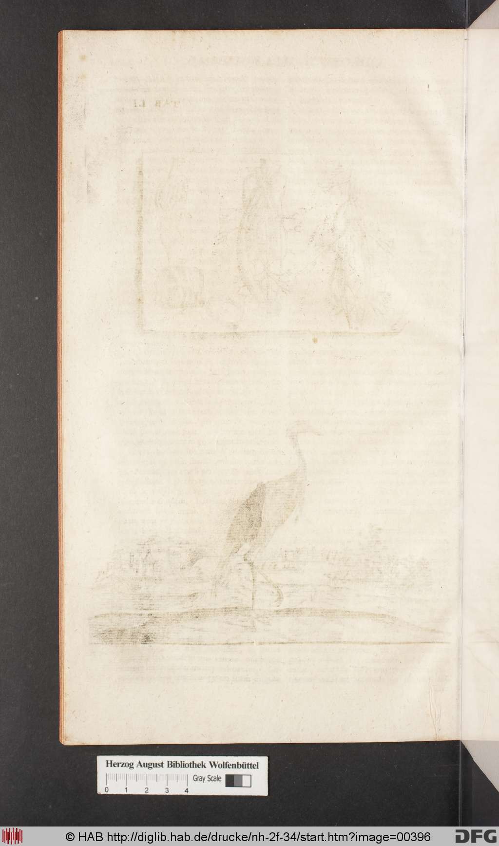http://diglib.hab.de/drucke/nh-2f-34/00396.jpg