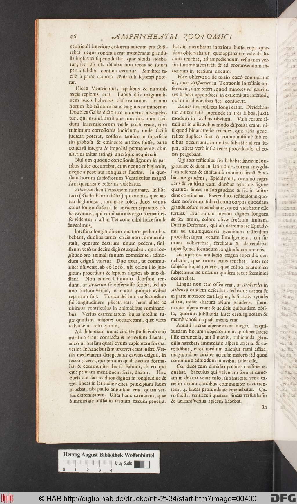 http://diglib.hab.de/drucke/nh-2f-34/00400.jpg