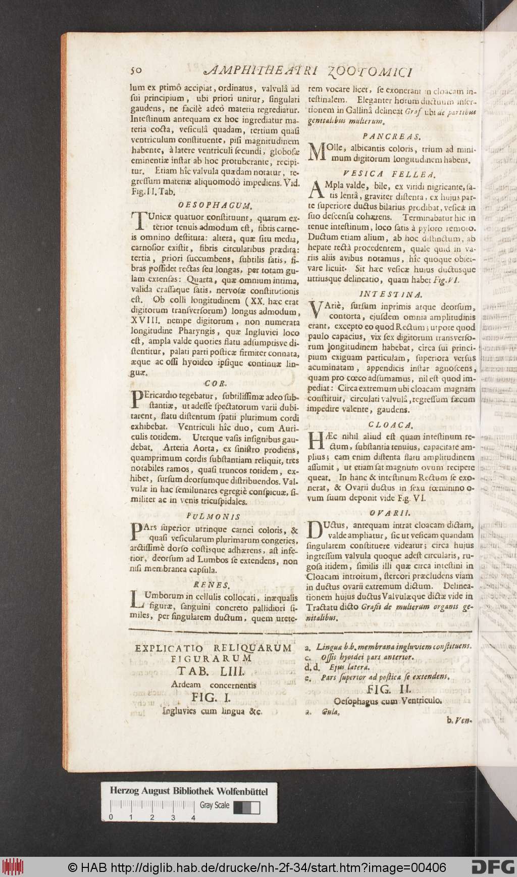 http://diglib.hab.de/drucke/nh-2f-34/00406.jpg