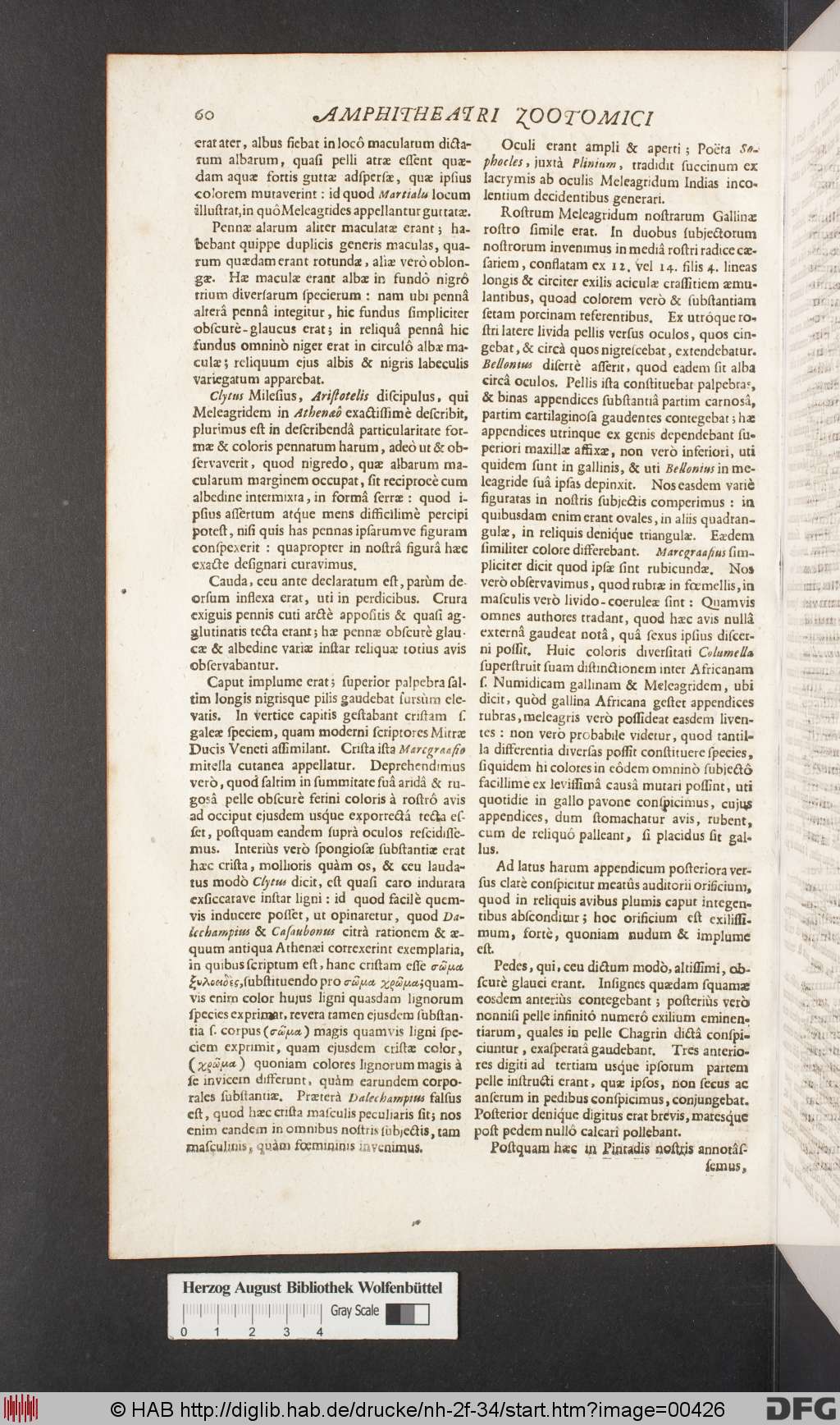 http://diglib.hab.de/drucke/nh-2f-34/00426.jpg