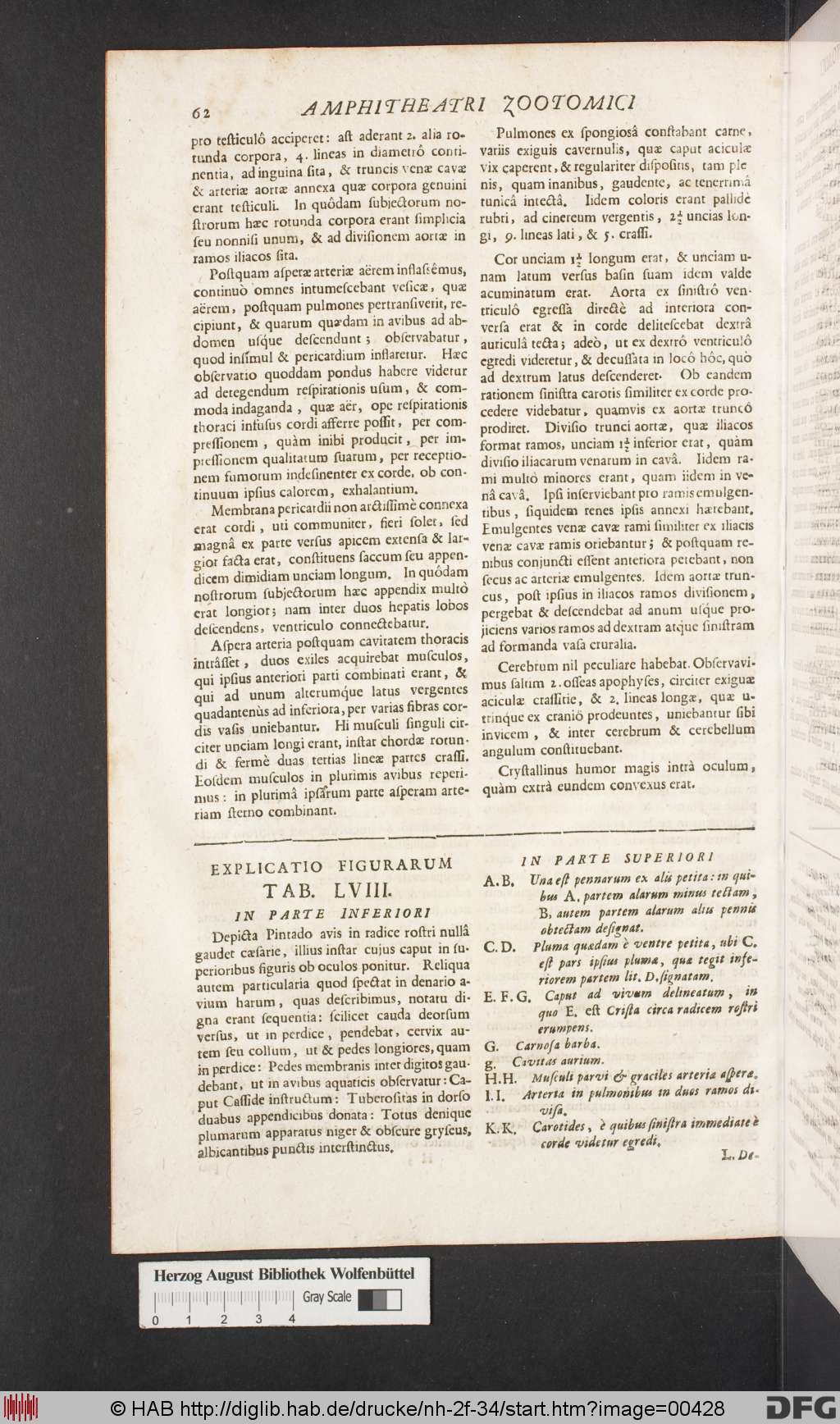 http://diglib.hab.de/drucke/nh-2f-34/00428.jpg