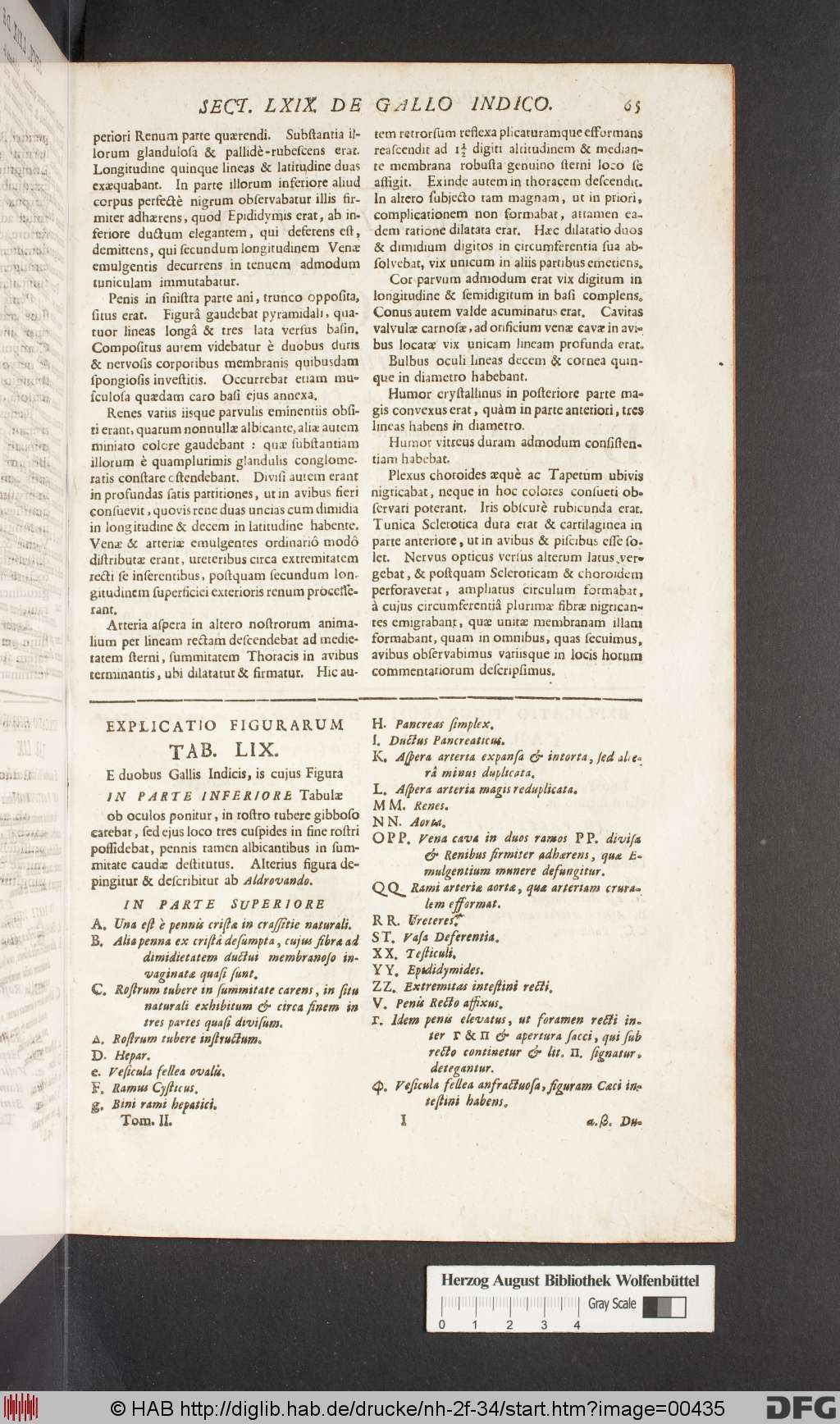 http://diglib.hab.de/drucke/nh-2f-34/00435.jpg