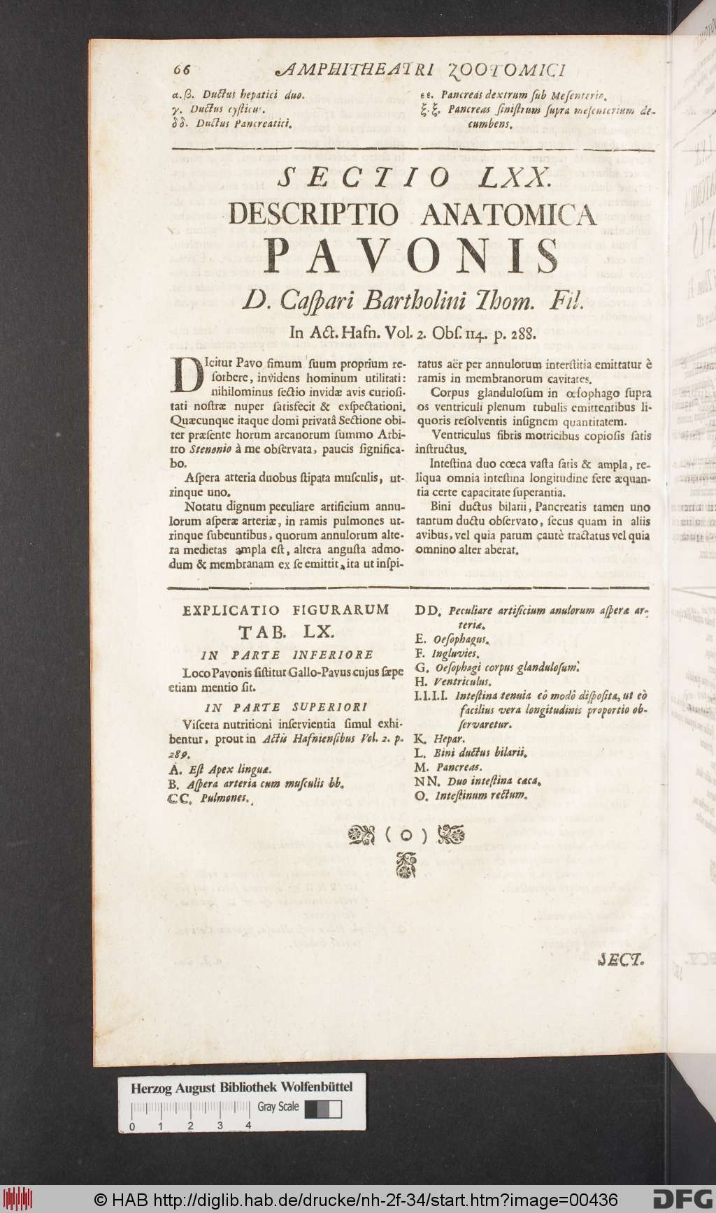 http://diglib.hab.de/drucke/nh-2f-34/00436.jpg