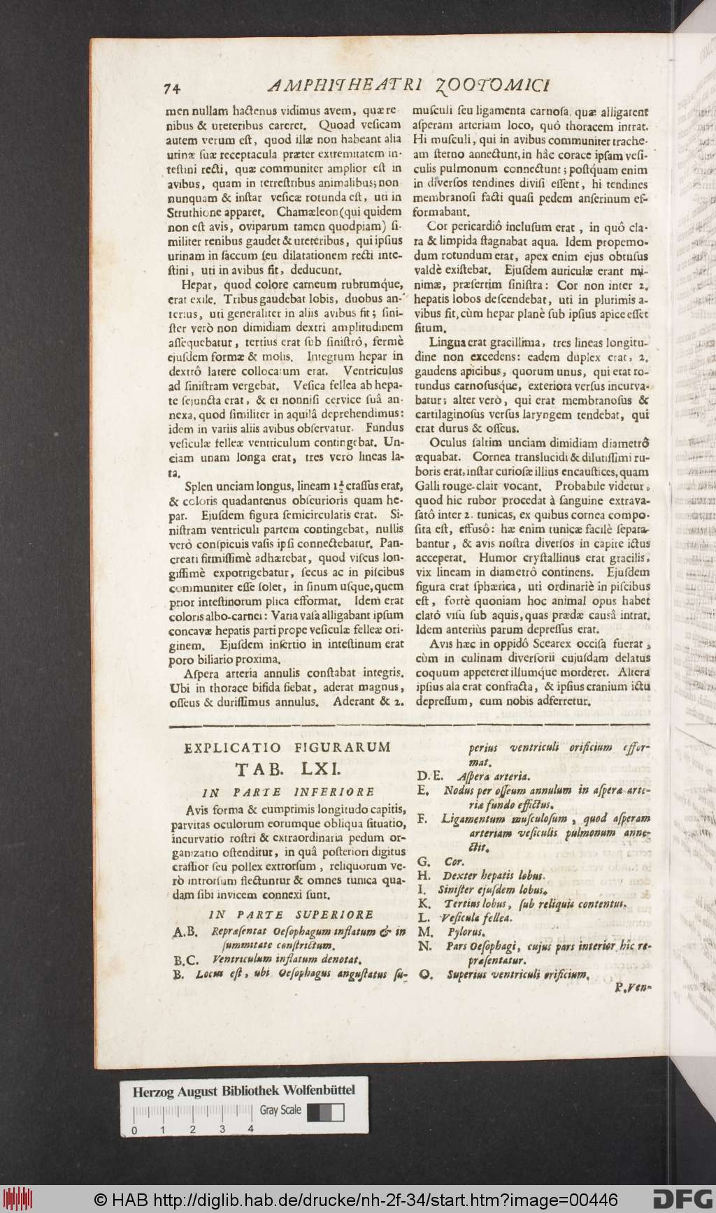 http://diglib.hab.de/drucke/nh-2f-34/00446.jpg