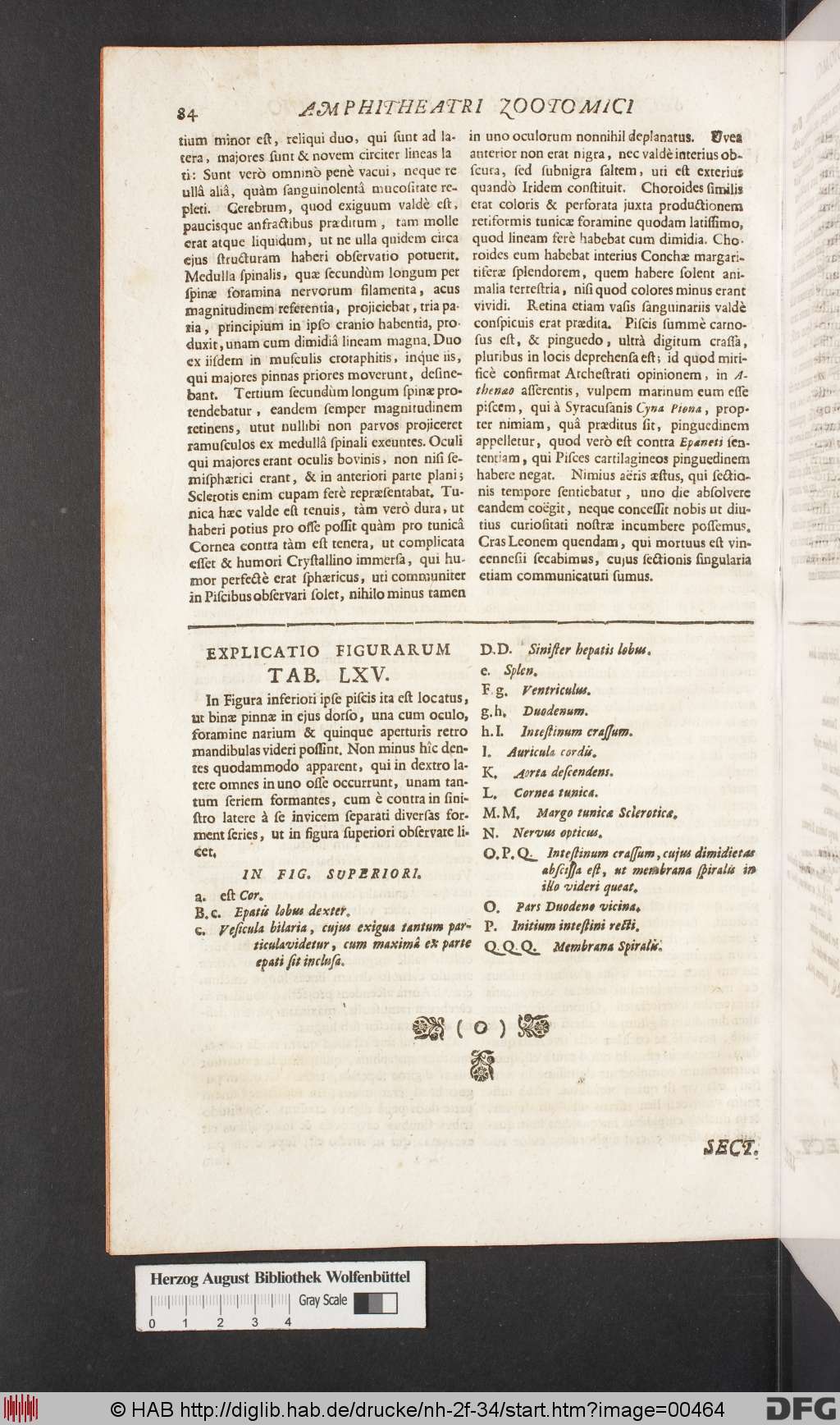 http://diglib.hab.de/drucke/nh-2f-34/00464.jpg
