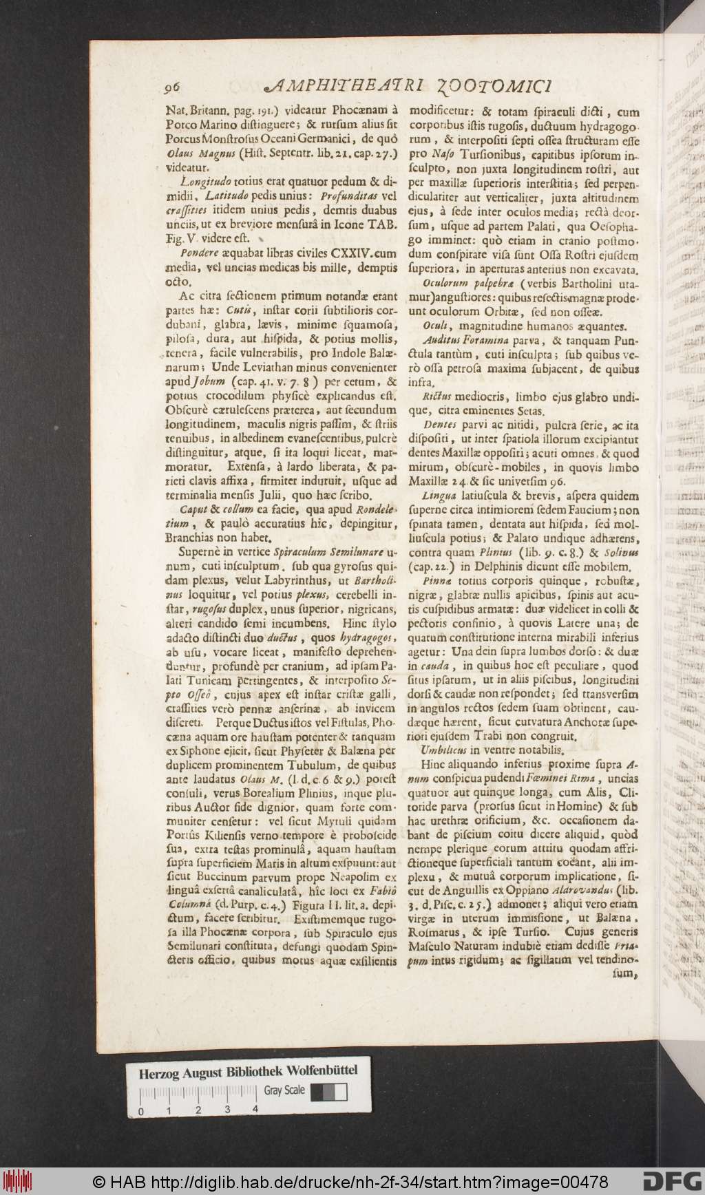 http://diglib.hab.de/drucke/nh-2f-34/00478.jpg