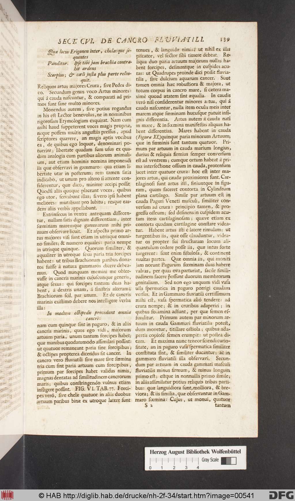 http://diglib.hab.de/drucke/nh-2f-34/00541.jpg