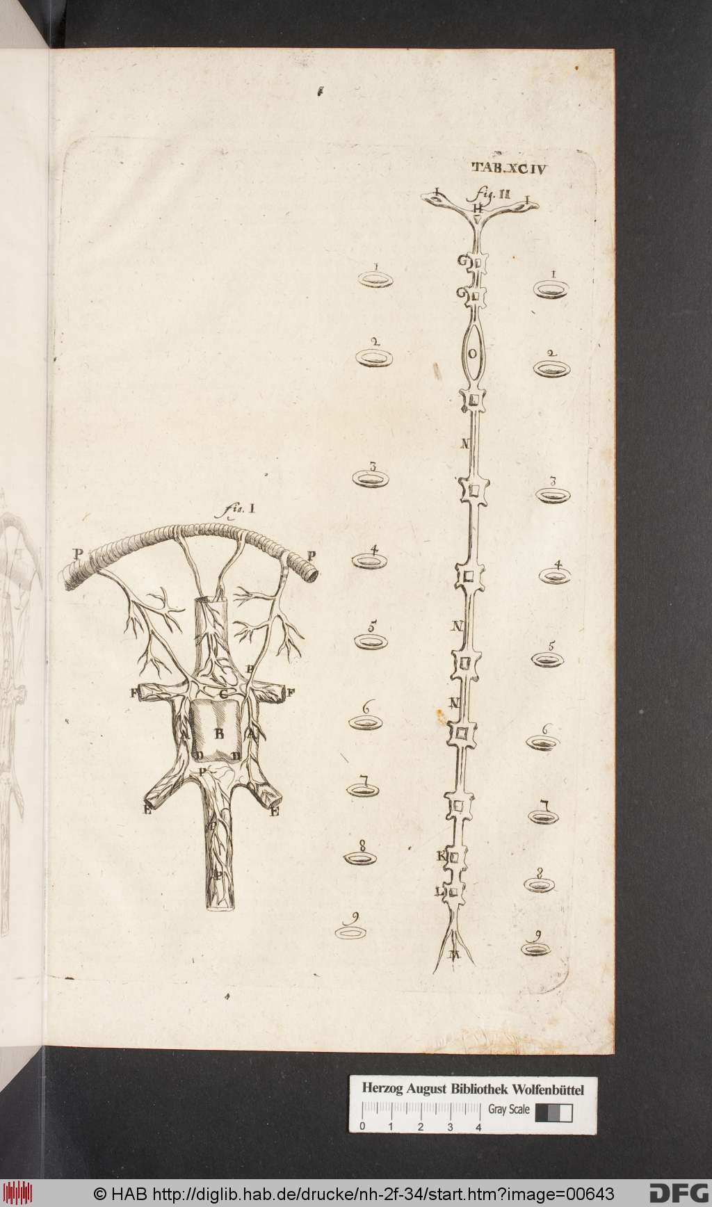 http://diglib.hab.de/drucke/nh-2f-34/00643.jpg