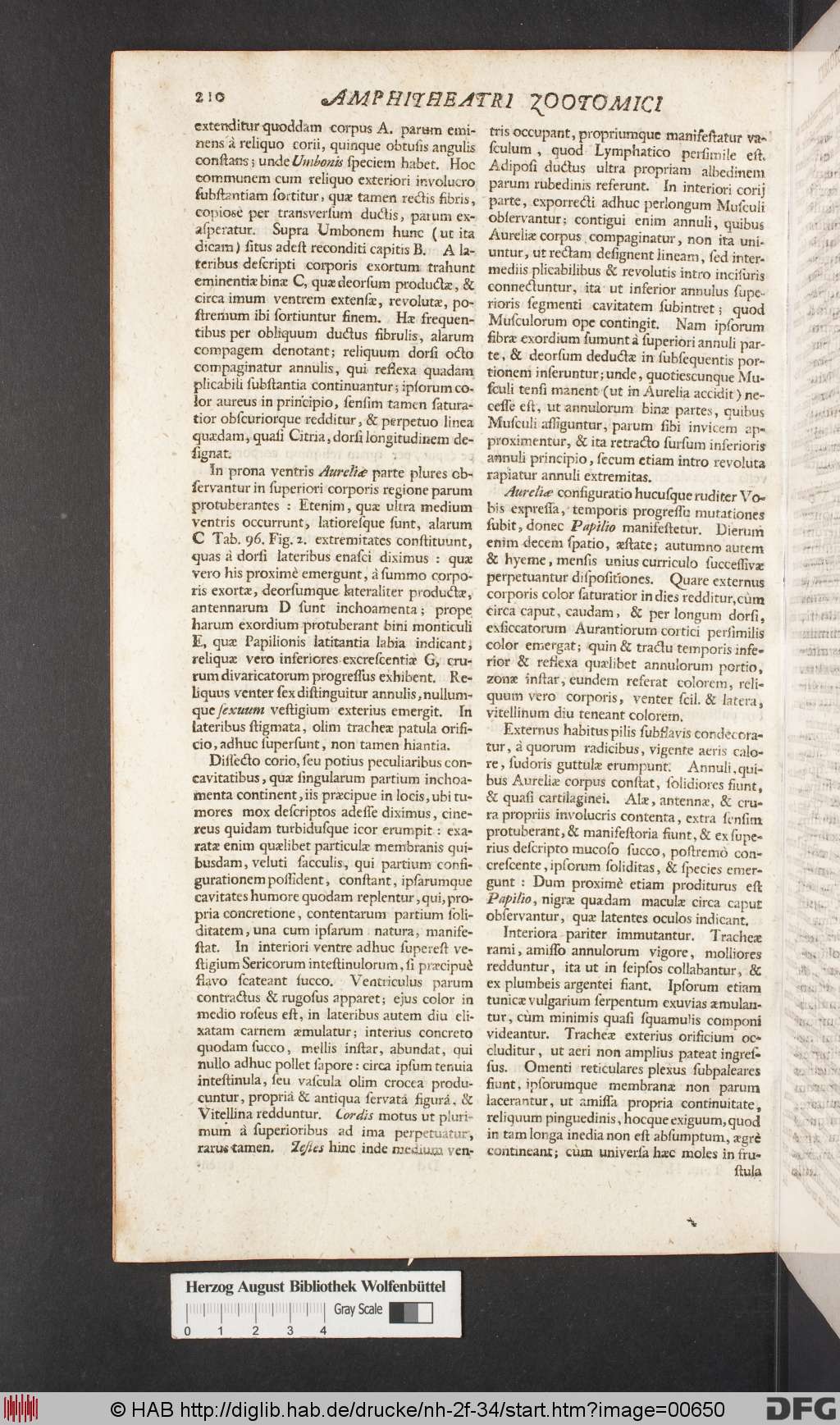 http://diglib.hab.de/drucke/nh-2f-34/00650.jpg