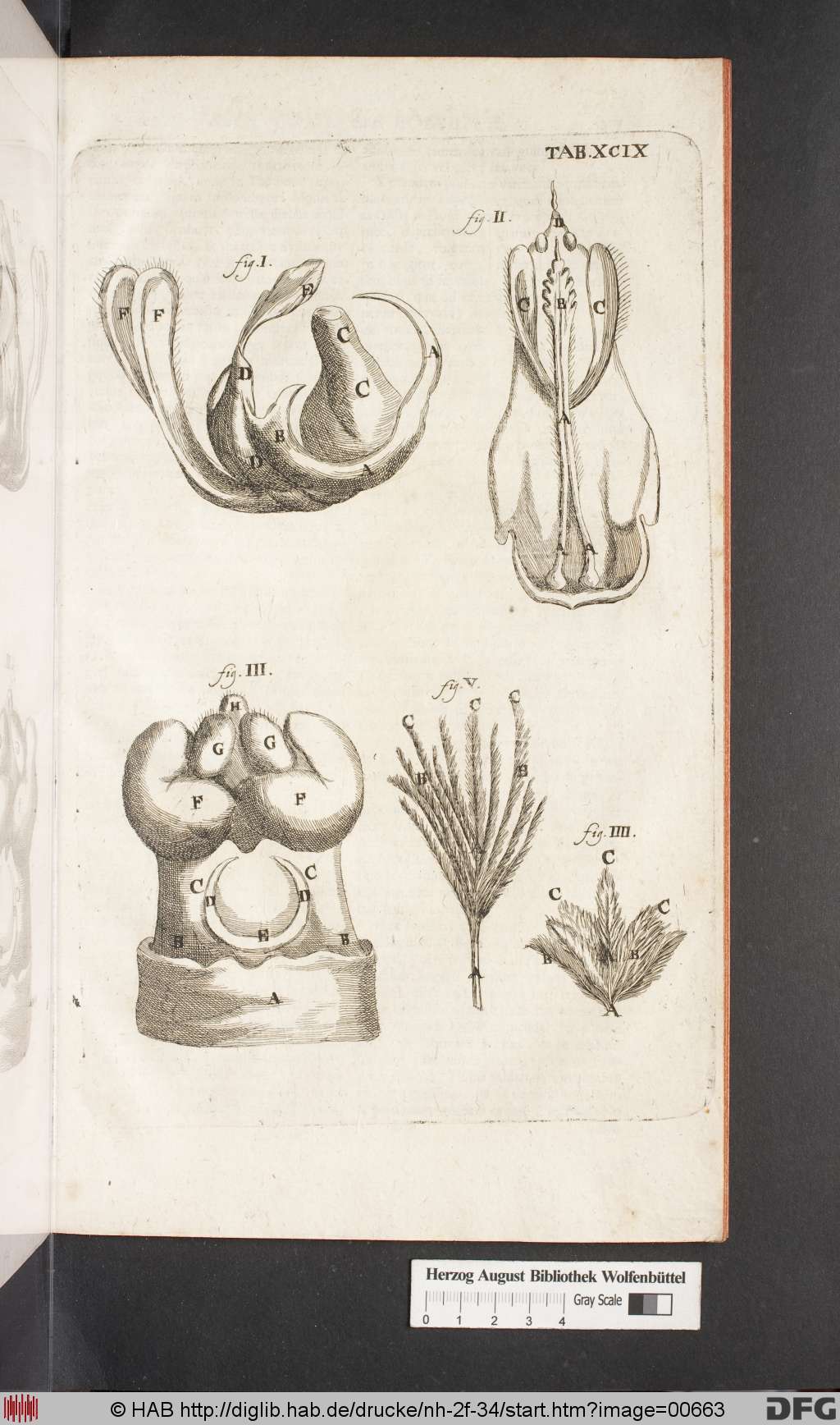 http://diglib.hab.de/drucke/nh-2f-34/00663.jpg