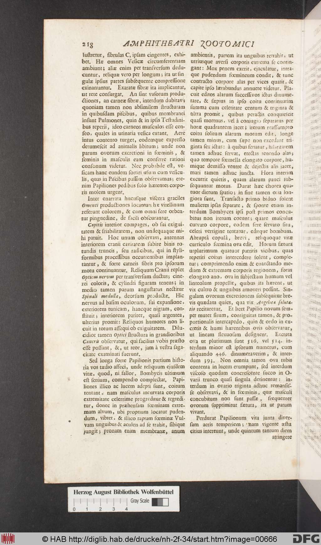 http://diglib.hab.de/drucke/nh-2f-34/00666.jpg