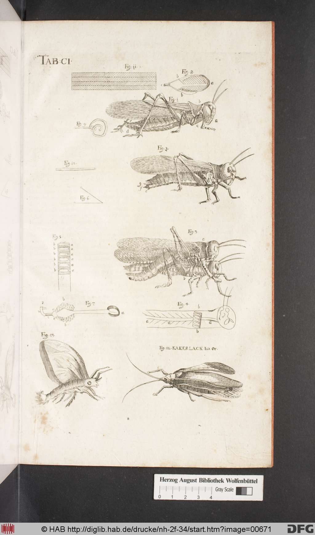 http://diglib.hab.de/drucke/nh-2f-34/00671.jpg