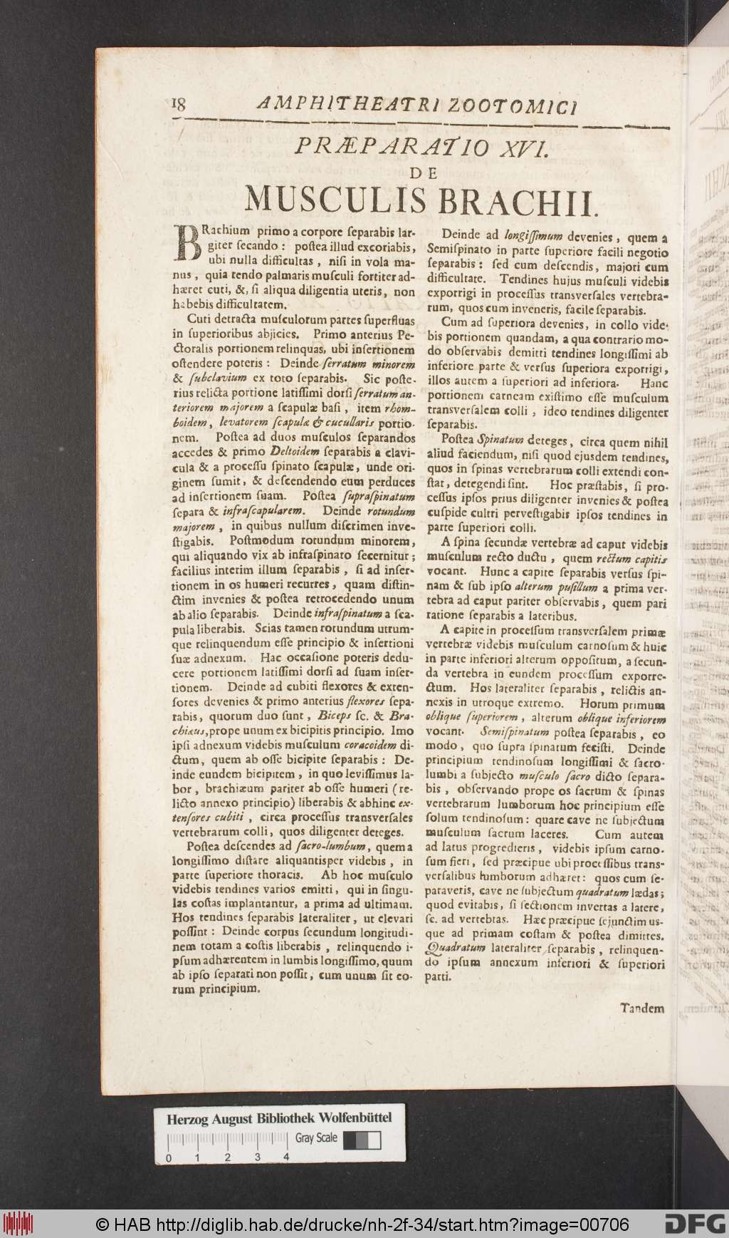 http://diglib.hab.de/drucke/nh-2f-34/00706.jpg