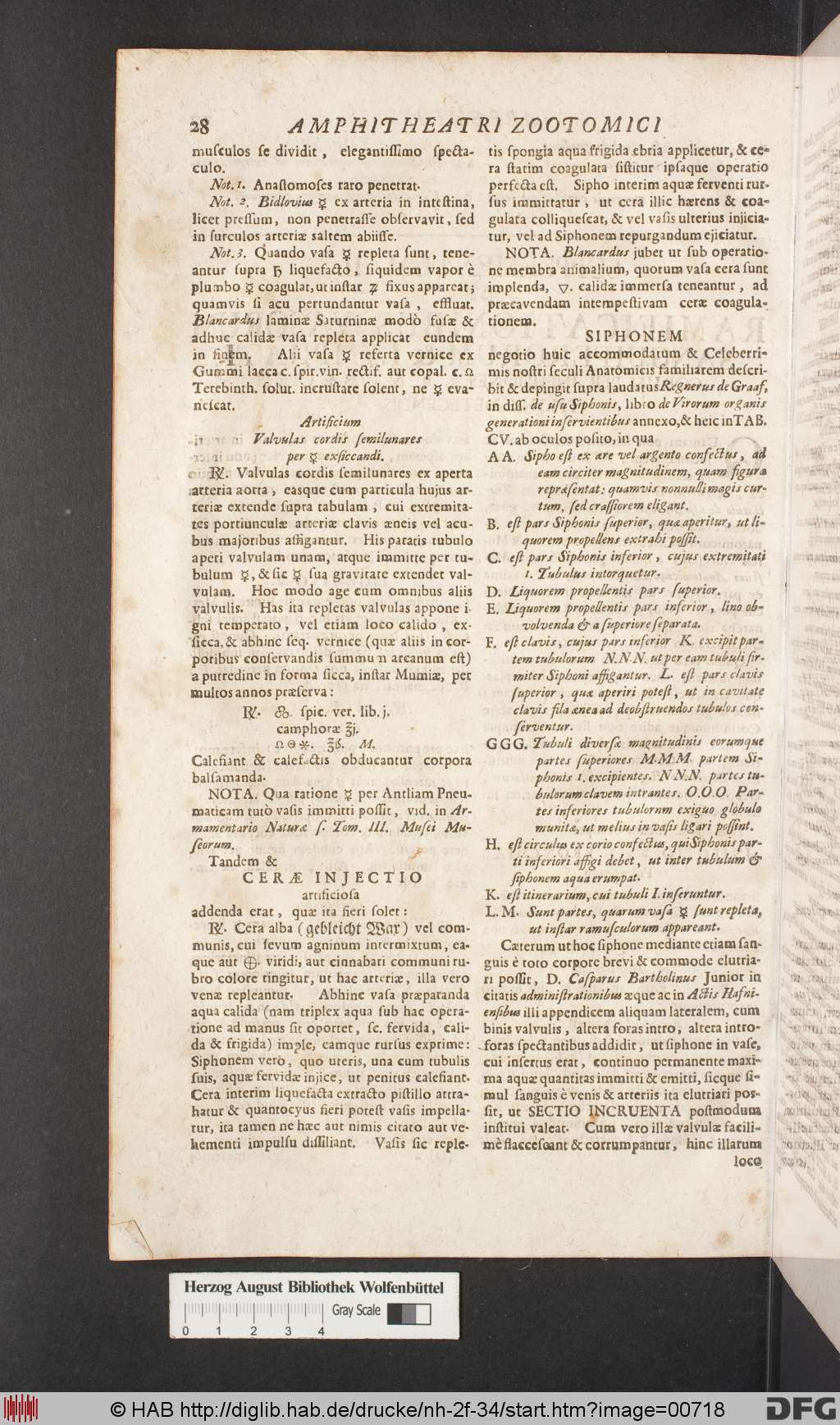 http://diglib.hab.de/drucke/nh-2f-34/00718.jpg