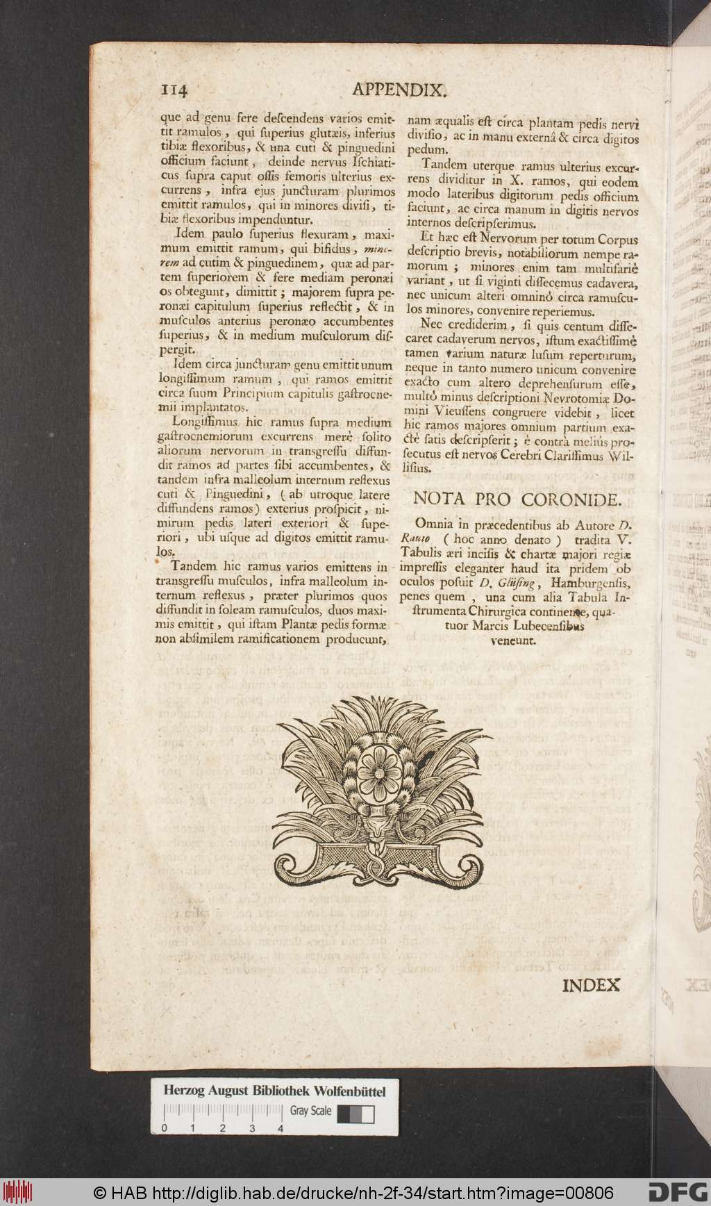 http://diglib.hab.de/drucke/nh-2f-34/00806.jpg