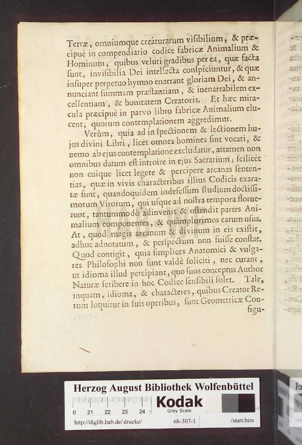 http://diglib.hab.de/drucke/nh-307-1/00010.jpg