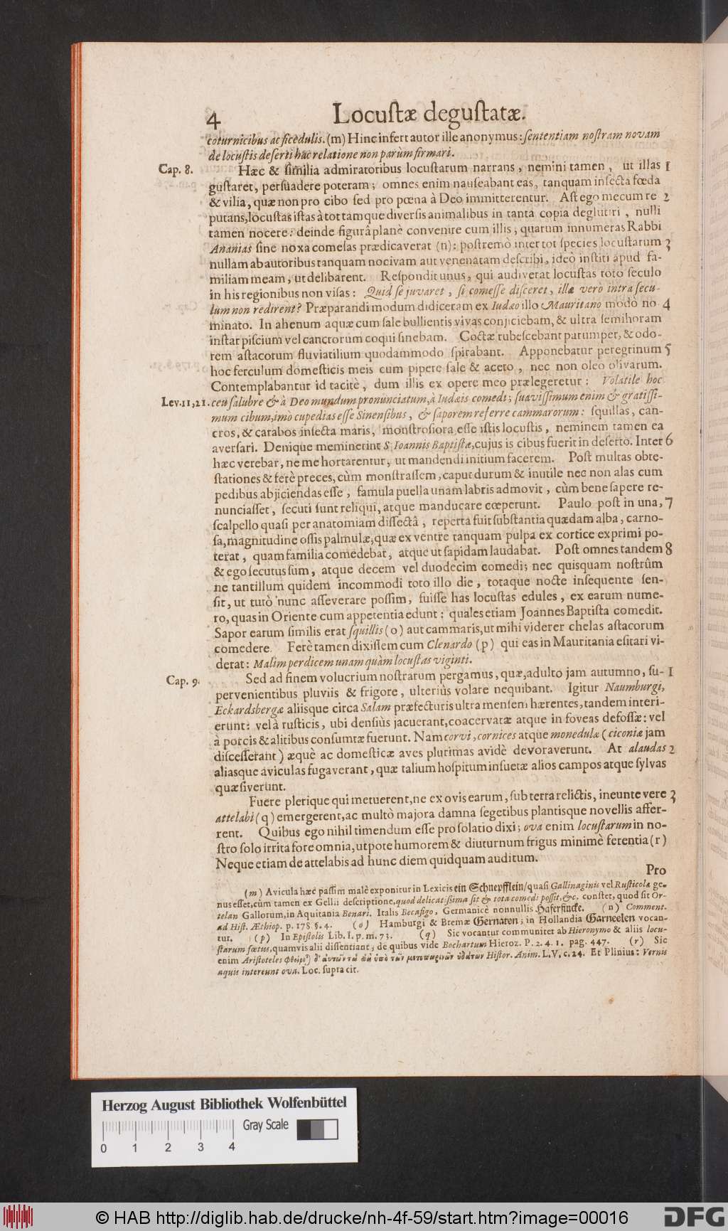 http://diglib.hab.de/drucke/nh-4f-59/00016.jpg