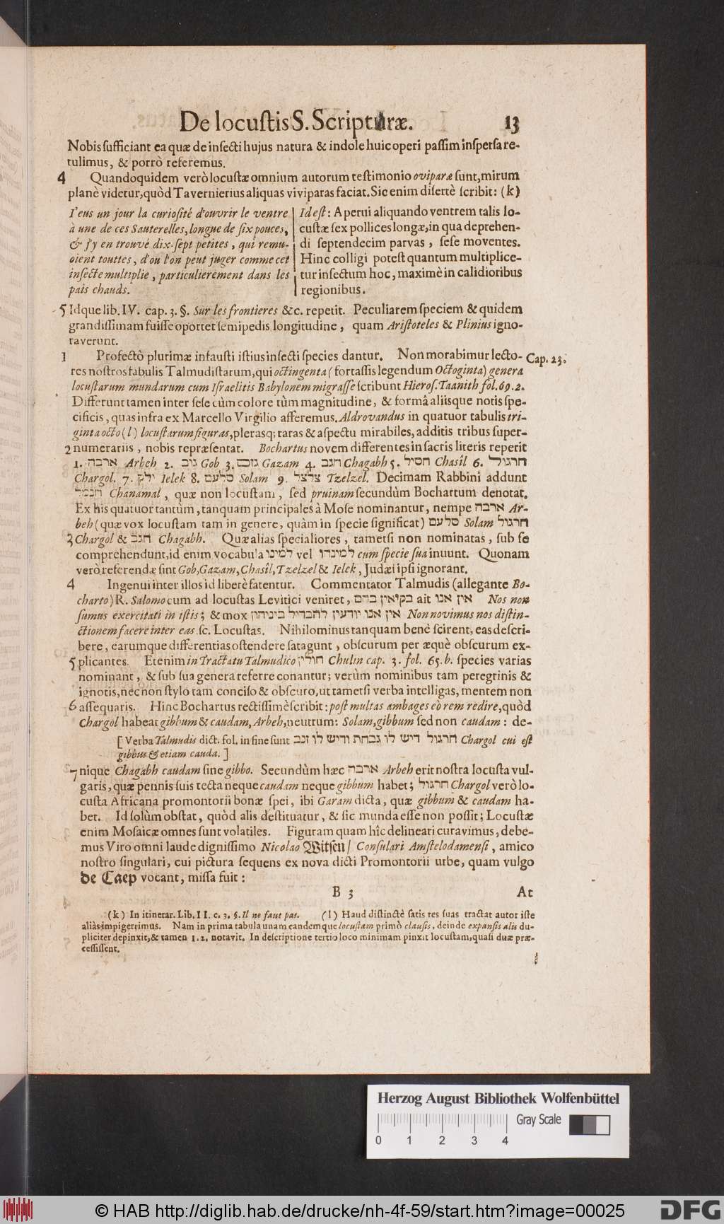 http://diglib.hab.de/drucke/nh-4f-59/00025.jpg