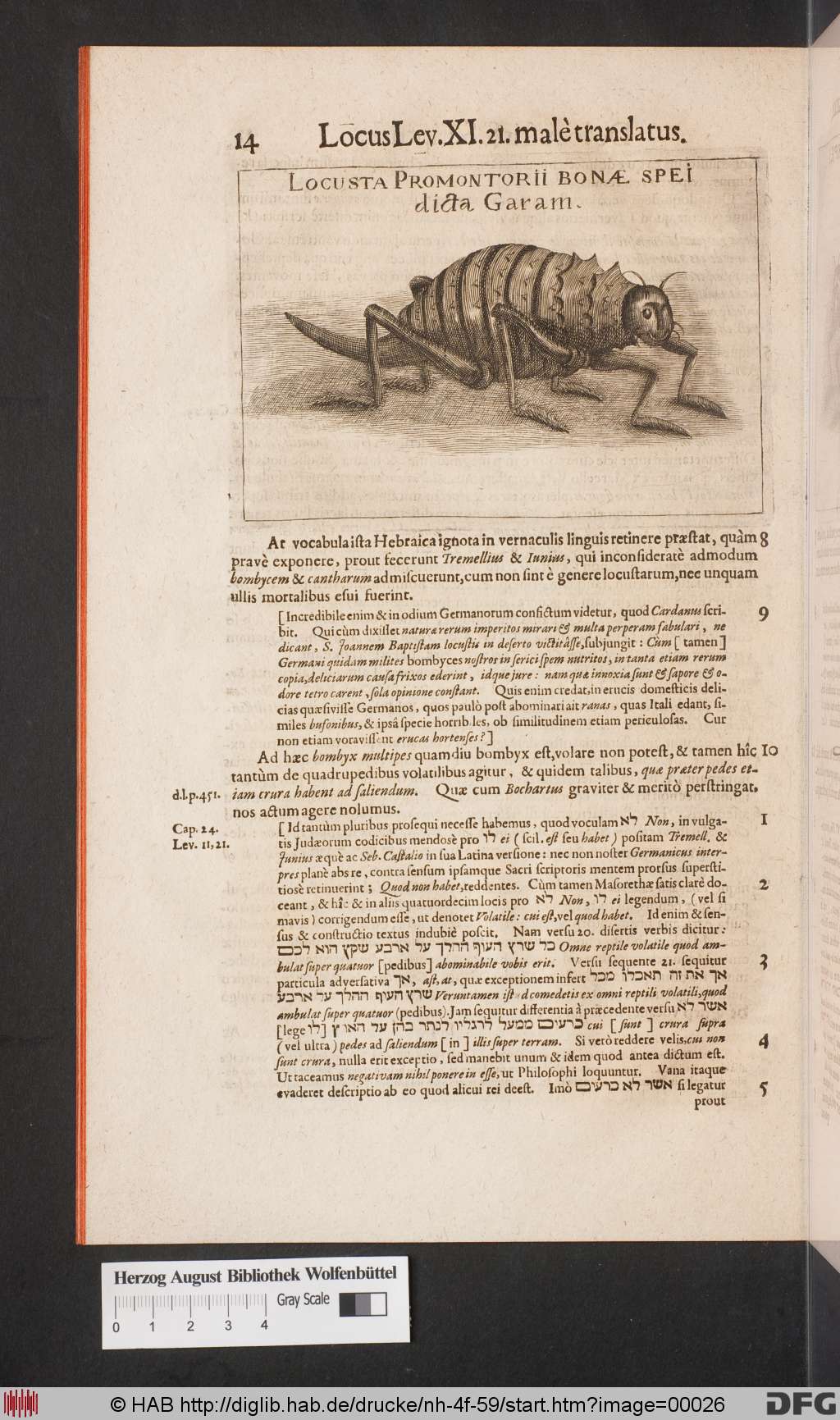 http://diglib.hab.de/drucke/nh-4f-59/00026.jpg