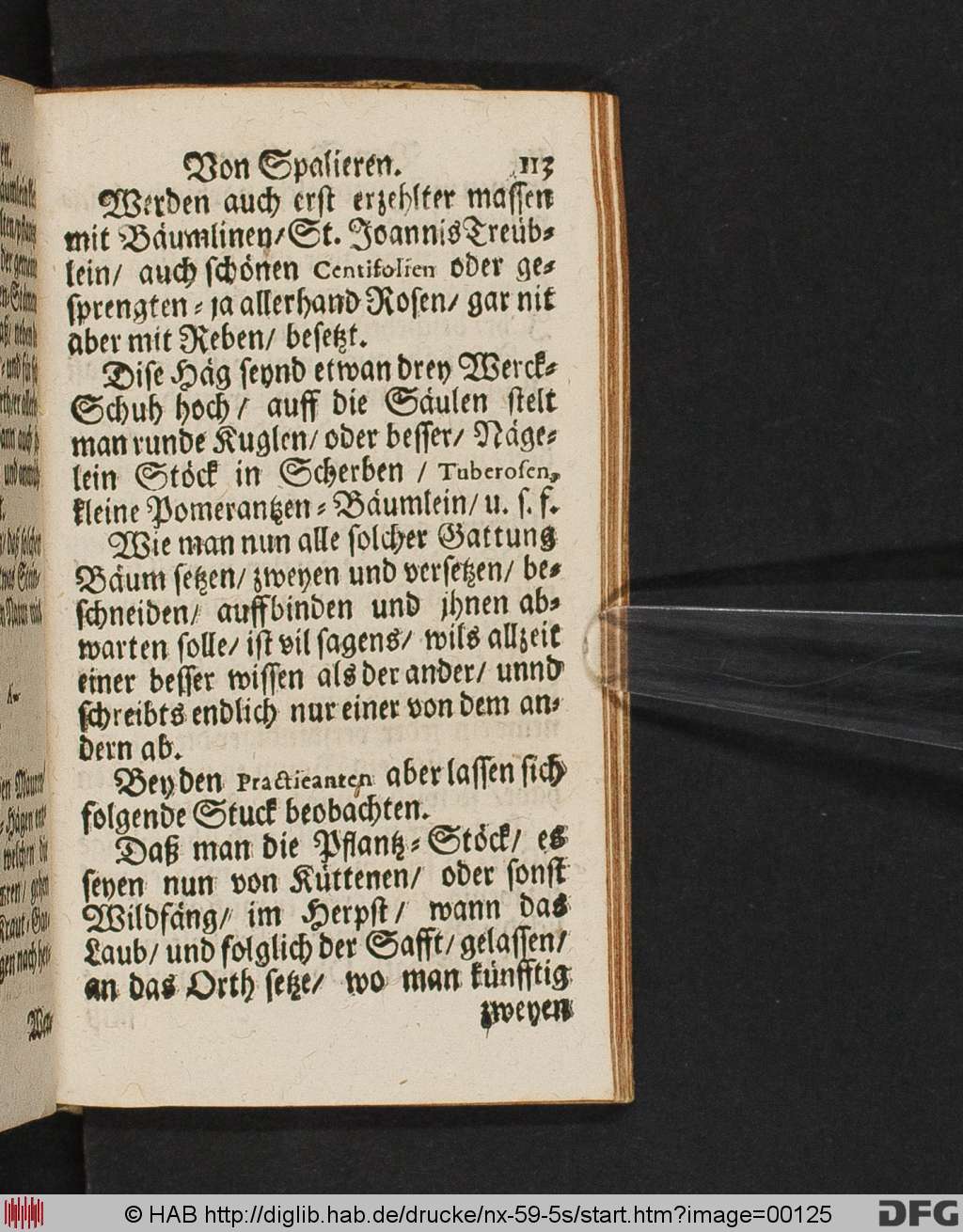 http://diglib.hab.de/drucke/nx-59-5s/00125.jpg