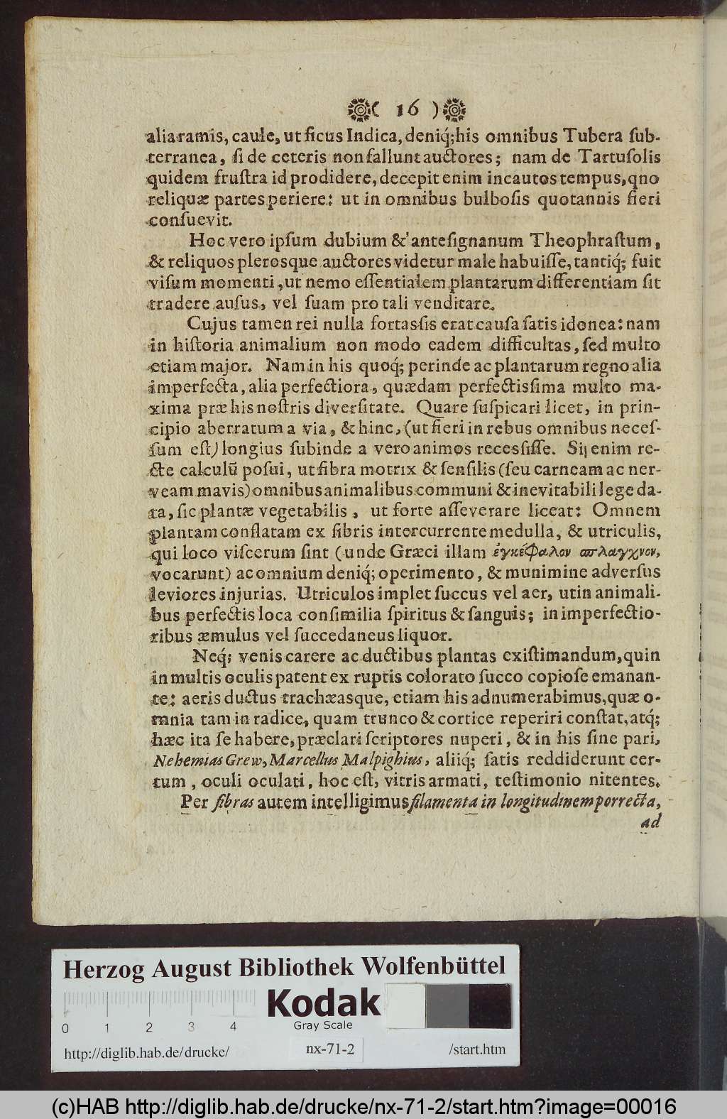 http://diglib.hab.de/drucke/nx-71-2/00016.jpg