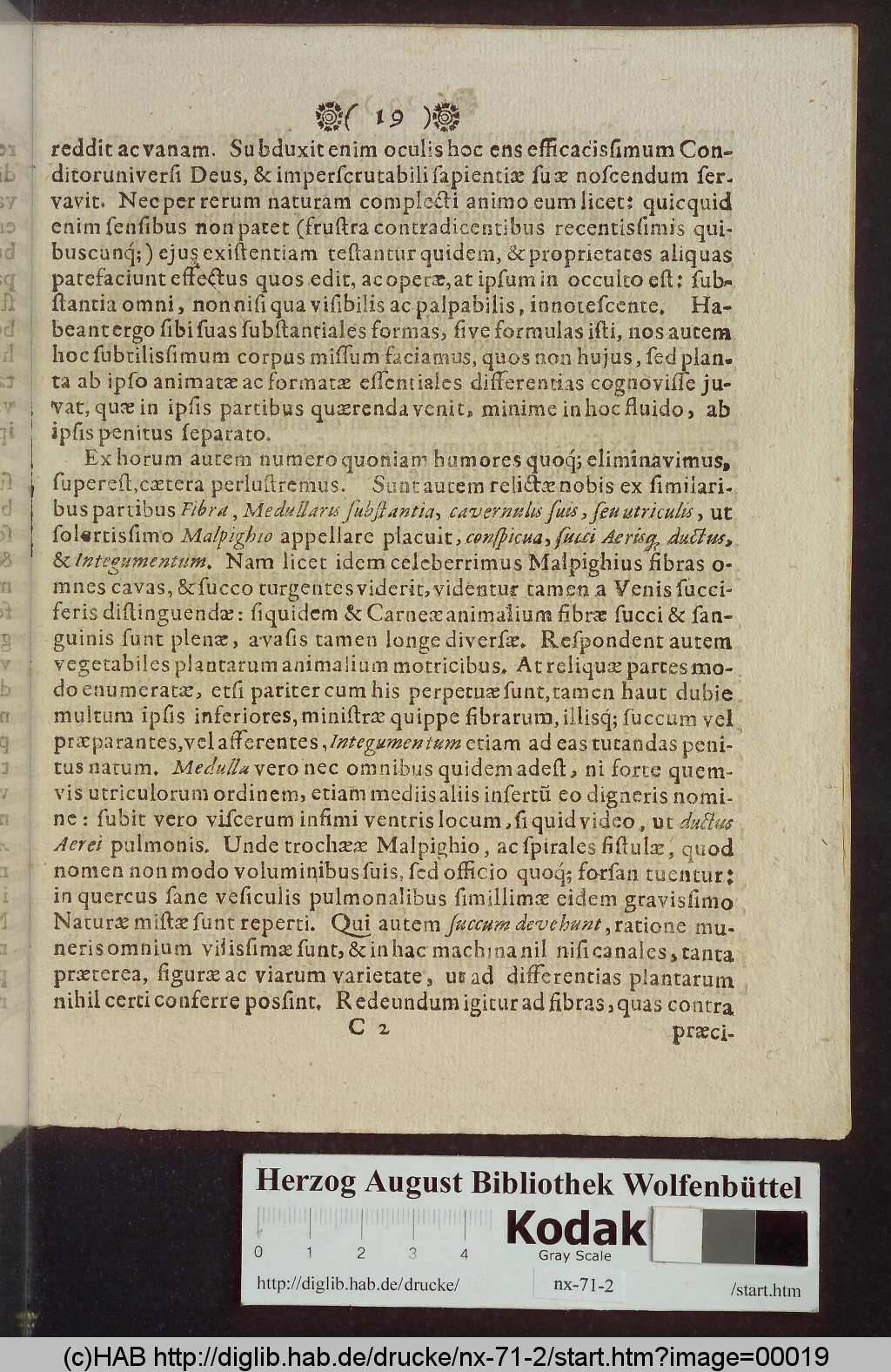 http://diglib.hab.de/drucke/nx-71-2/00019.jpg