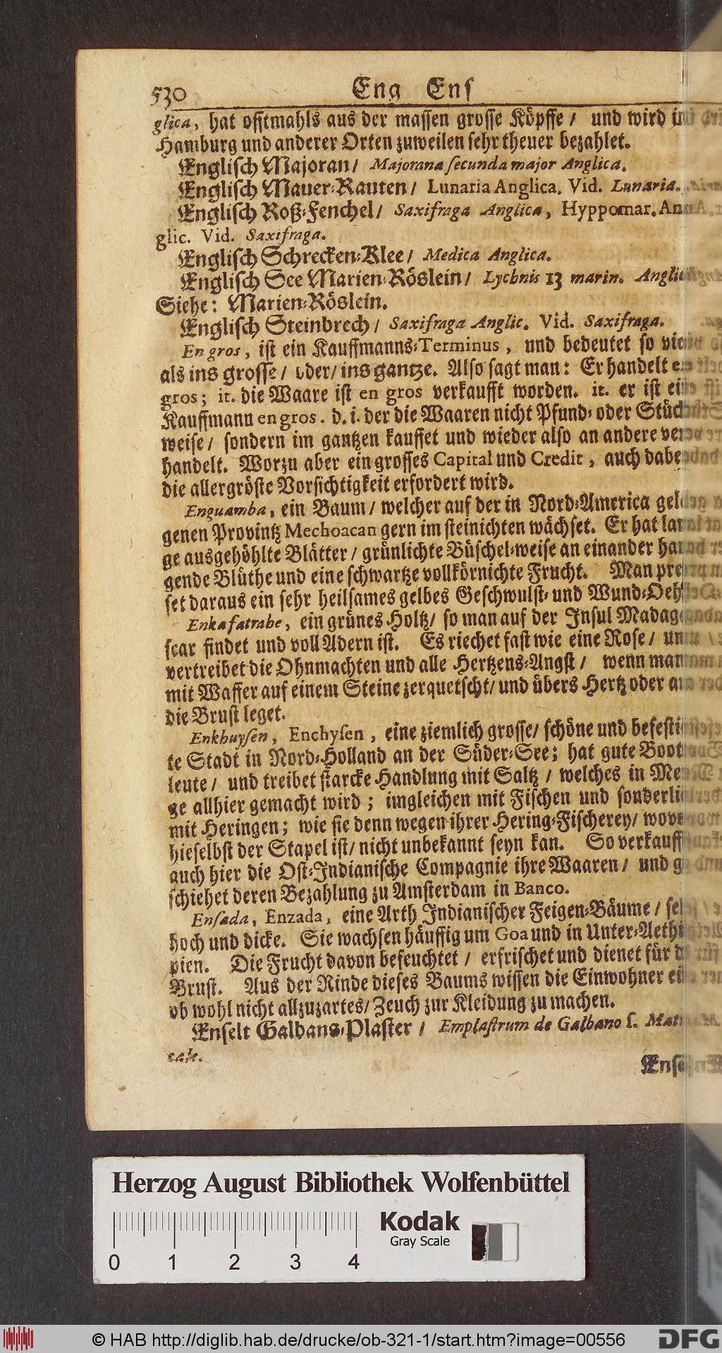 http://diglib.hab.de/drucke/ob-321-1/00556.jpg