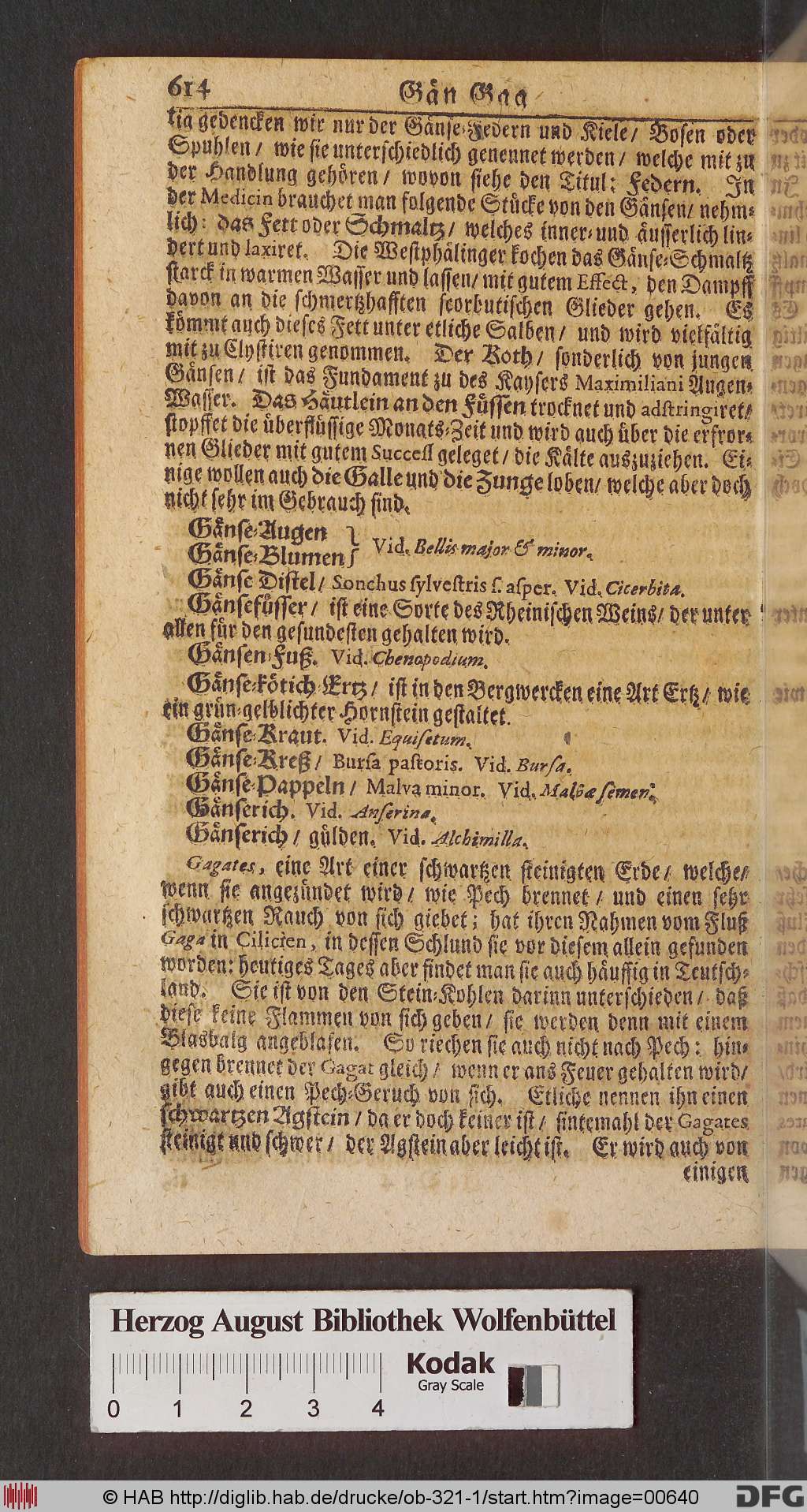 http://diglib.hab.de/drucke/ob-321-1/00640.jpg
