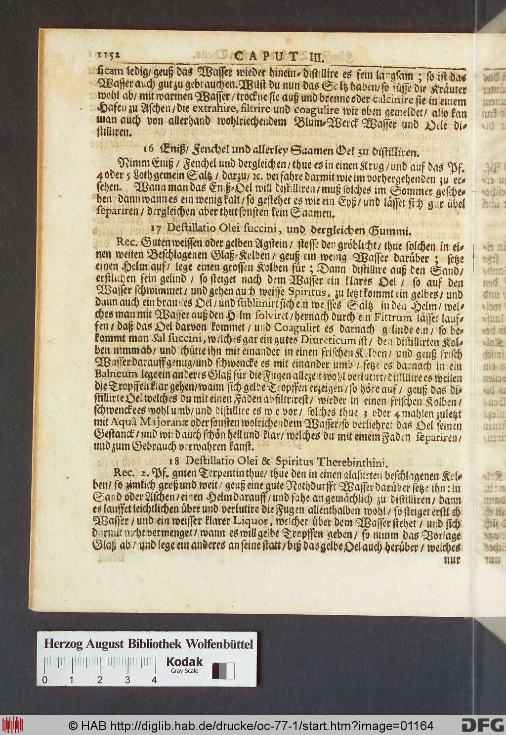 http://diglib.hab.de/drucke/oc-77-1/01164.jpg