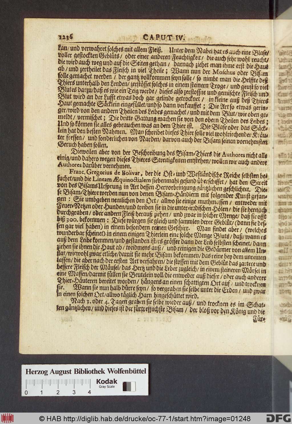 http://diglib.hab.de/drucke/oc-77-1/01248.jpg