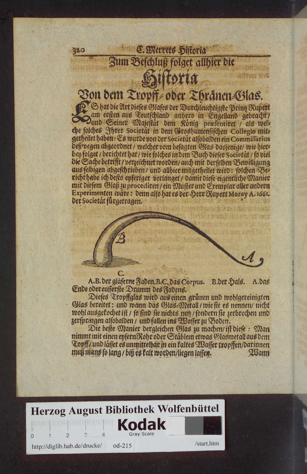 http://diglib.hab.de/drucke/od-215/00364.jpg