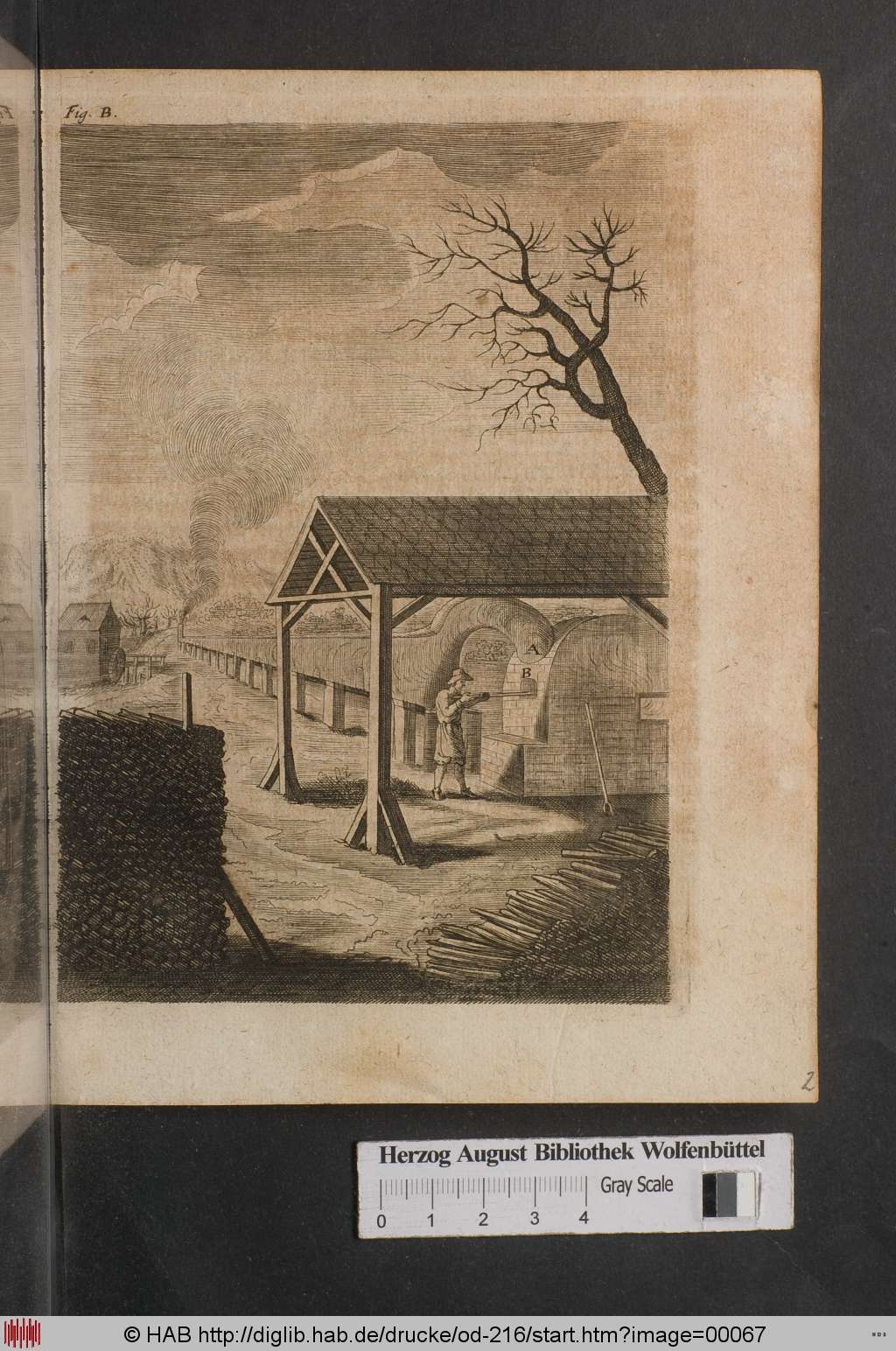 http://diglib.hab.de/drucke/od-216/00067.jpg