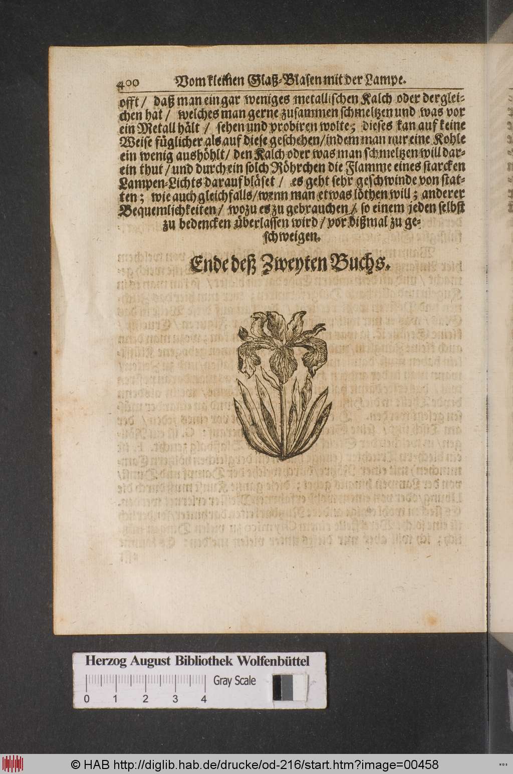 http://diglib.hab.de/drucke/od-216/00458.jpg