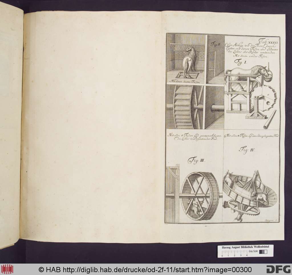 http://diglib.hab.de/drucke/od-2f-11/00300.jpg