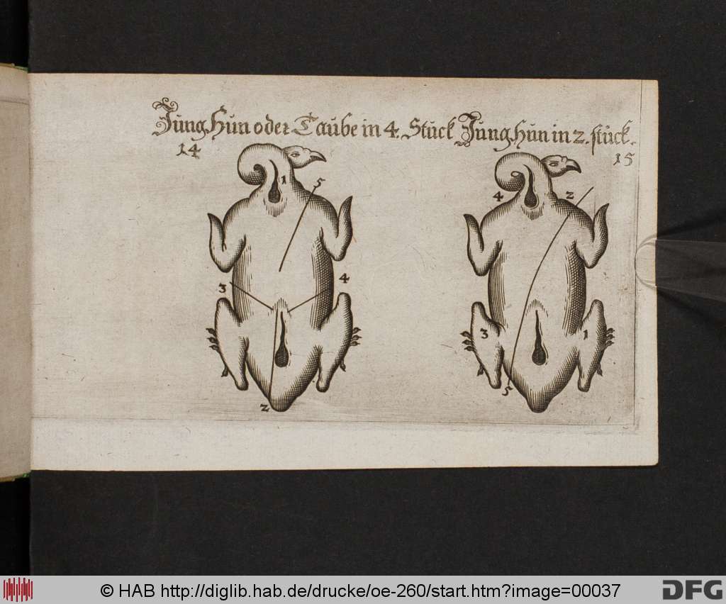 http://diglib.hab.de/drucke/oe-260/00037.jpg