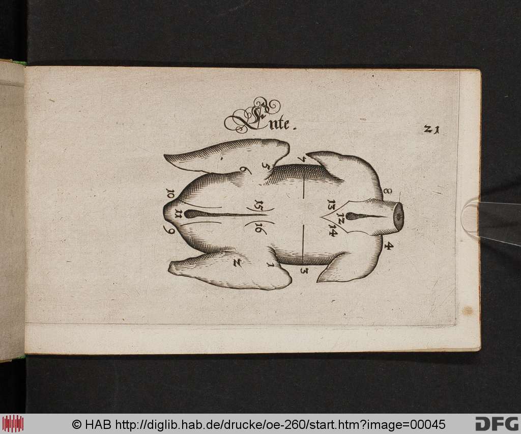 http://diglib.hab.de/drucke/oe-260/00045.jpg