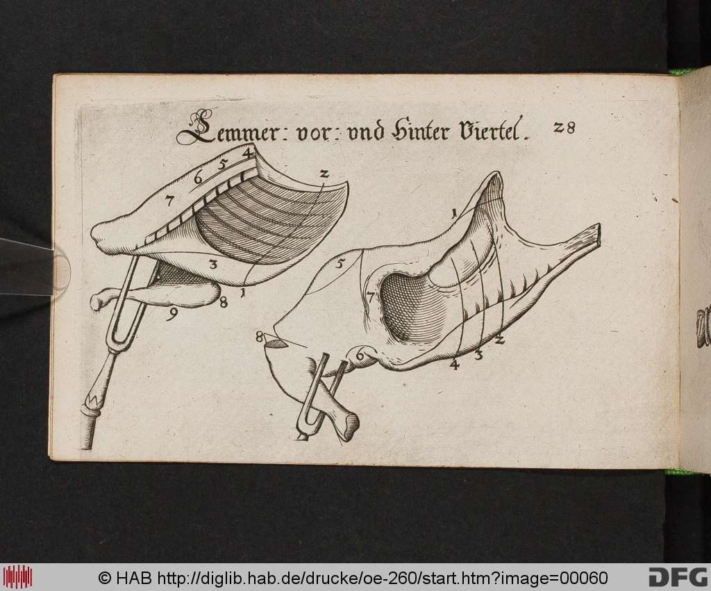 http://diglib.hab.de/drucke/oe-260/00060.jpg