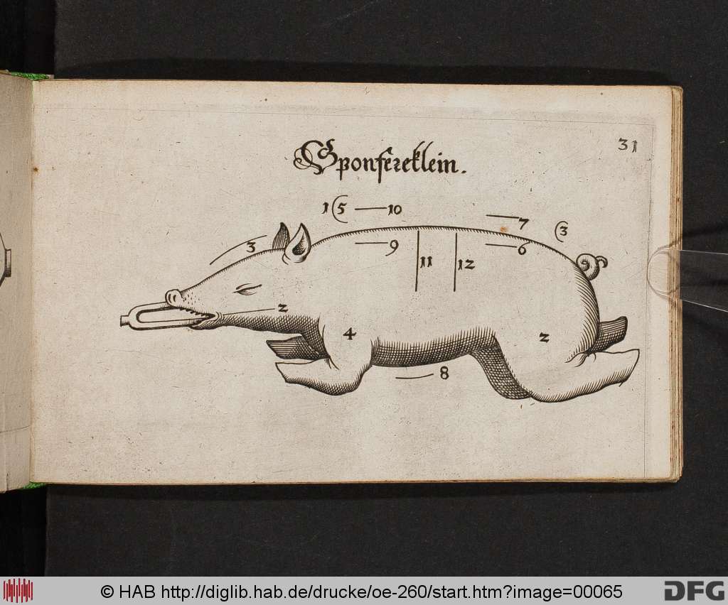 http://diglib.hab.de/drucke/oe-260/00065.jpg