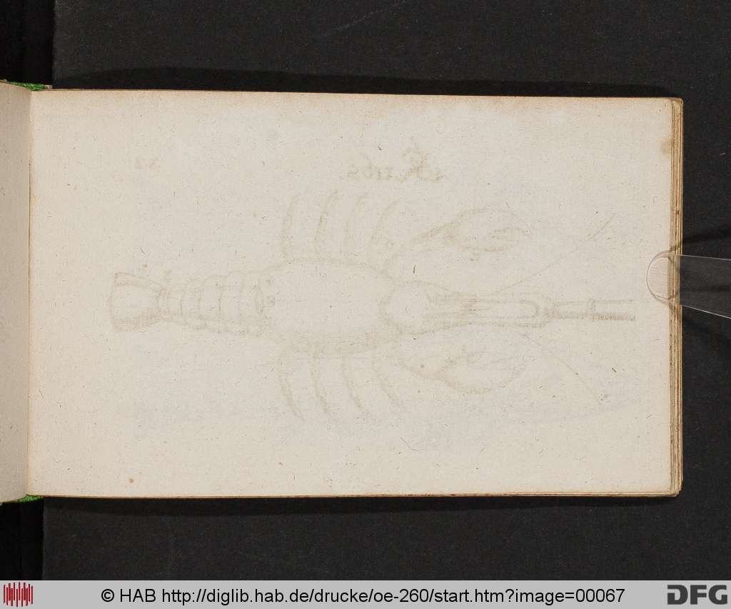 http://diglib.hab.de/drucke/oe-260/00067.jpg