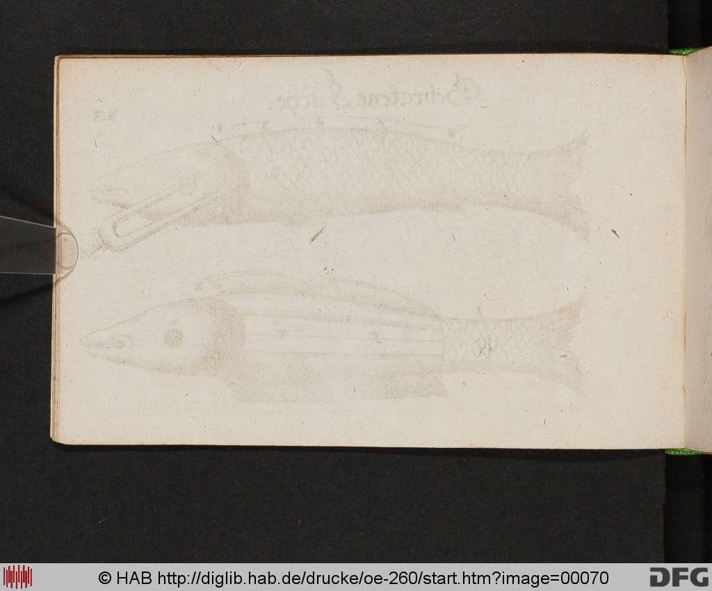 http://diglib.hab.de/drucke/oe-260/00070.jpg
