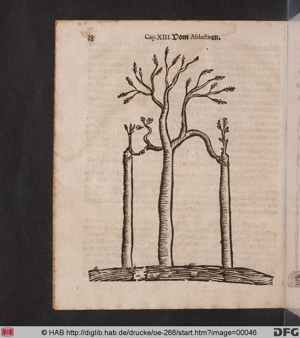 http://diglib.hab.de/drucke/oe-268/00046.jpg