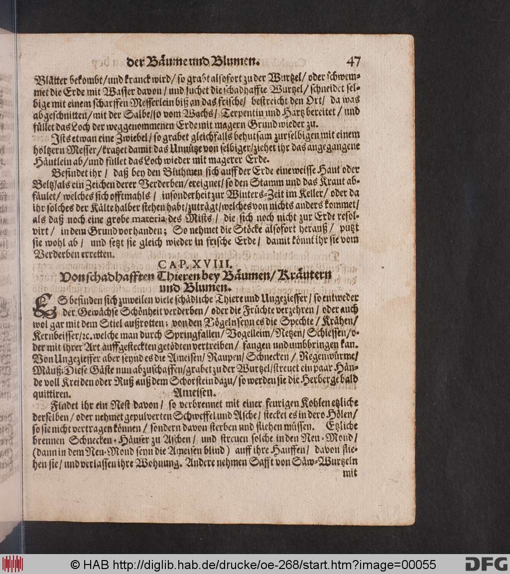 http://diglib.hab.de/drucke/oe-268/00055.jpg