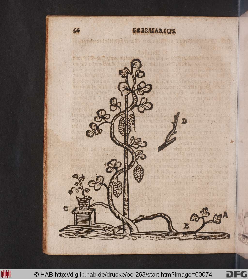 http://diglib.hab.de/drucke/oe-268/00074.jpg