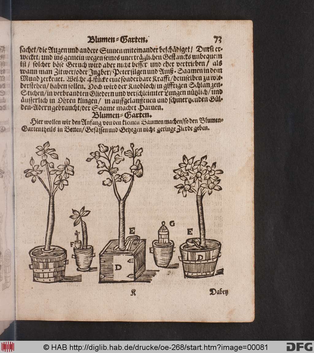 http://diglib.hab.de/drucke/oe-268/00081.jpg
