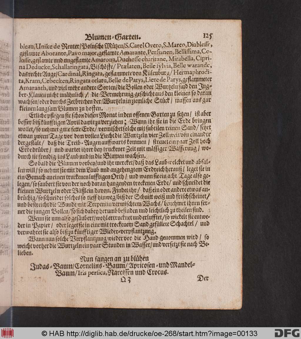 http://diglib.hab.de/drucke/oe-268/00133.jpg