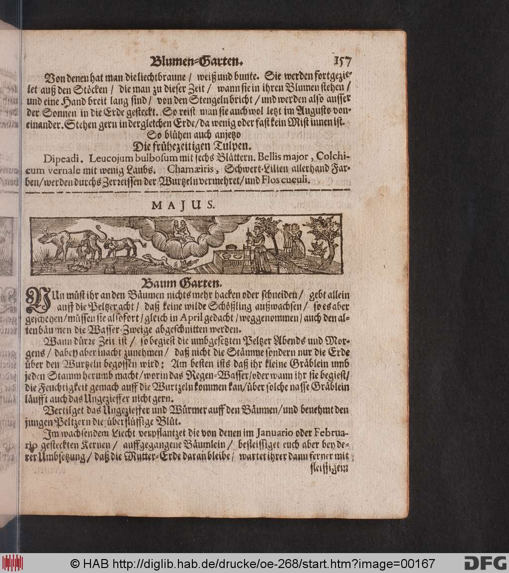 http://diglib.hab.de/drucke/oe-268/00167.jpg