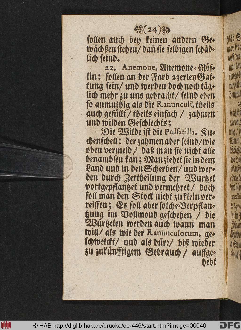 http://diglib.hab.de/drucke/oe-446/00040.jpg